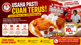 franchise sonic chiken
