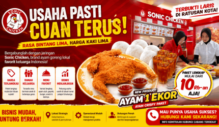 franchise sonic chiken